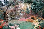 Fall Colors, Garden, trees, autumn, NNOV03P05_15