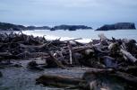 Driftwood, Shore, Seashore, Rocks, Pacific Ocean, Bandon, NNOV03P07_01