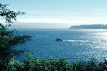Tillamook Bay, Trees, Waves, Seashore, Shore, Rocks, Pacific Ocean, NNOV03P09_02