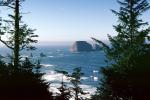 Three Capes Route, Rocks, Trees, Waves, Seashore, Shore, Pacific Ocean, NNOV03P09_03