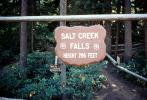 Salt Creek Falls, NNOV03P11_14