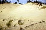 Fence, Sand Dunes, Coast, Sandy, Oregon Dunes National Recreation Area