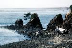 Rocks, Pebbles, Seashore, Pacific Ocean, NNOV03P13_08