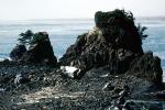 Rocks, Pebbles, Seashore, Pacific Ocean, NNOV03P13_09