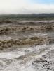 Muddy Waves, Olympic Peninsula, NNTD01_007