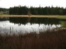 Pond, Lake, Water, NNTD01_018