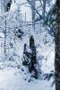 Cold frozen forest, woodlands, NNTPCD0654_113B