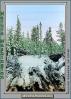 Snow covered Trees, forest, woodland, NNTPCD0655_013