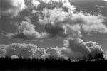 cumulus clouds, NNTPCD0662_060