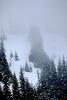 Mountain, trees, snow, ice, cold, forest, woodland, Olympic National Park, NNTV01P11_11.0934