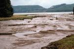 river, mud, muddy, wetlands, mudflats, NNTV01P15_14.0935