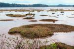 river, mud, muddy, wetlands, tidal flats, mudflats, NNTV01P15_18.0935