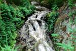 Cascading Waterfall, NNTV02P15_06