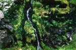 Cascading Waterfall, NNTV02P15_16