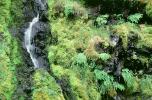 Cascading Waterfall, NNTV03P01_01