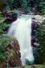 Nooksack Falls, whitewater, rapids, turbulent river, Whatcom County, Mount Baker National Forest, NNTV03P03_02