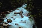 Nooksack River, whitewater, rapids, turbulent river, Whatcom County, Mount Baker National Forest