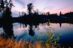 Forest, Lake, wetlands, trees, woodland, Blaine Washington, water, NNTV03P03_12.0936