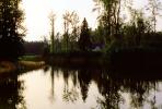 Forest, Lake, wetlands, trees, woodland, Blaine Washington, water, NNTV03P03_15