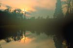 Forest, Lake, wetlands, trees, woodland, Blaine Washington, water, NNTV03P03_16.0936
