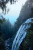 Narada Falls and Forest, NNTV03P05_04.0936