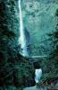 Multnomah Falls, Columbia River Gorge Waterfalls, Multnomah County, Oregon, USA, NNTV03P05_11