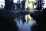 Early Morning, stream, bridge, water, Snake River Ranch, NNWPCD0651_037B