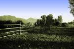 Fence, Snake River Ranch, NNWPCD0651_038B
