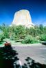 Devils Tower, Ponderosa Pine Forest, NNWV01P06_03