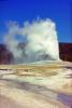 Hot Spring, Geyser, Geothermal Feature, activity, Extremophile, Thermophile, NNYV01P04_07.0676