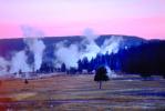 geysers, trees, forest, hills, Hot Spring, Geothermal Feature, activity