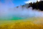 steam, trees, forest, Hot Spring, Geothermal Feature, activity, NNYV01P15_08.0676