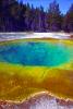 Morning Glory, Hot Spring, Geothermal Feature, activity, Extremophile, Thermophile
