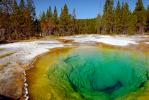 Morning Glory Hot Spring, Geothermal Feature, trees, forest, Hot Spring, activity, Extremophile, Thermophile