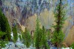 The Grand Canyon of the Yellowstone, NNYV02P11_12.0938