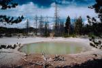 Hot Spring, Geothermal Feature, activity, pond