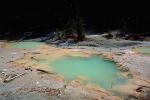 green Pond, Hot Spring, Geothermal Feature, activity