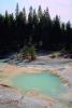 pond, water, trees, Hot Spring, Geothermal Feature, activity