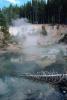 steam, hill, dead tree, water, Hot Spring, Geothermal Feature, activity, NNYV04P02_11.0940