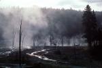 Geysers, Geothermal Activity, steam, trees, stream