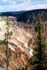 The Grand Canyon of the Yellowstone, NNYV06P02_02
