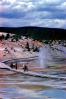 Geyser, Hot Spring, Madison Junction, Hot Ponds, geothermal feature, activity, NNYV06P04_13