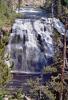 Osprey Falls, trees, River, Water, NNYV06P06_16
