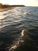 Waves, Shore, Sand, Beach, south shore of Lake Ontario, Great Lakes, Sodus Bay, Wayne County, New York, water, NOCD01_013