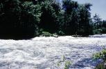 Whitewater Rapids, vibrant river, turbulent river, NOCV01P07_19