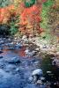 Fall cololrs, River, Stream, NODV01P10_02