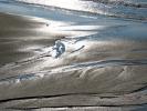 Water Sand Texture, Cape Cod, Seashore, NOED01_005