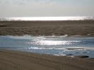 Sand Dunes, Cape Cod, Seashore, Atlantic Ocean, daytime, daylight, NOED01_008