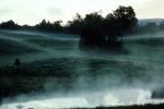Hills, Foggy Morning, Fog, Burke, Vermont, NOEV01P01_11