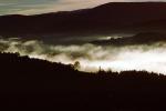 Foggy Morning, Fog, Burke, Vermont, NOEV01P01_15